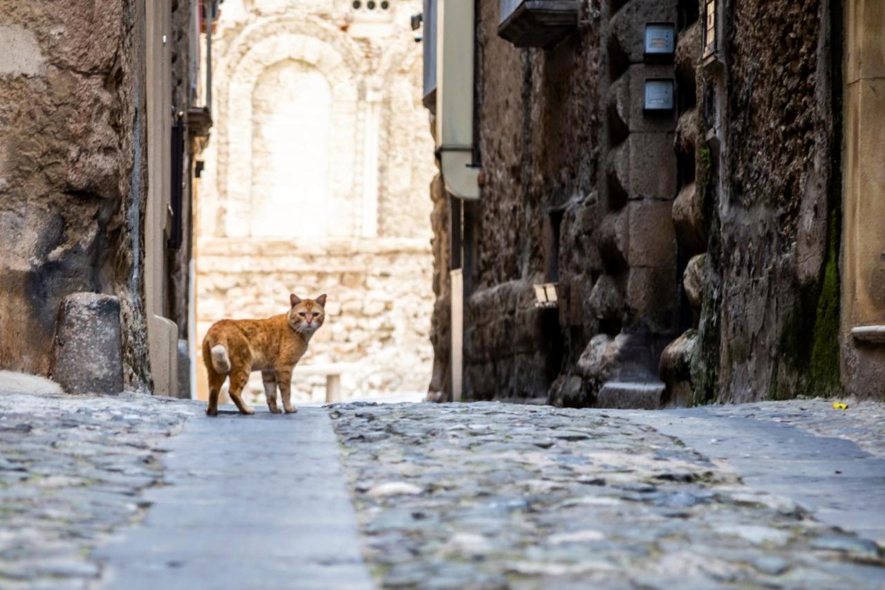 Suites Pastis Tropea - Boutique B&B By Kalavria Holidays Exterior photo